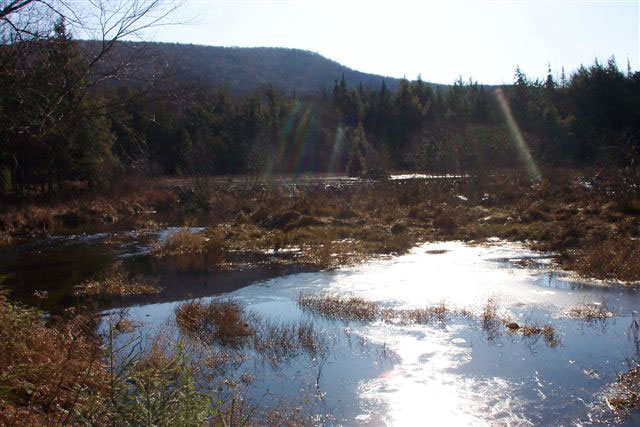 Adirondack Lodging