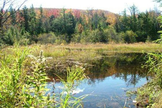 Adirondack Lodging