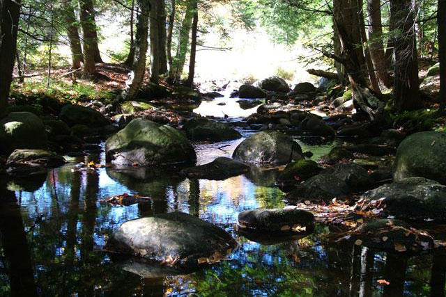 Adirondack Lodging