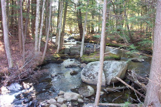 Adirondack Lodging