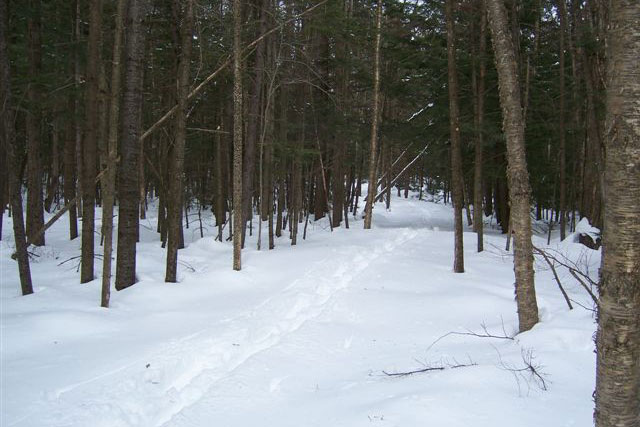 Adirondack Lodging